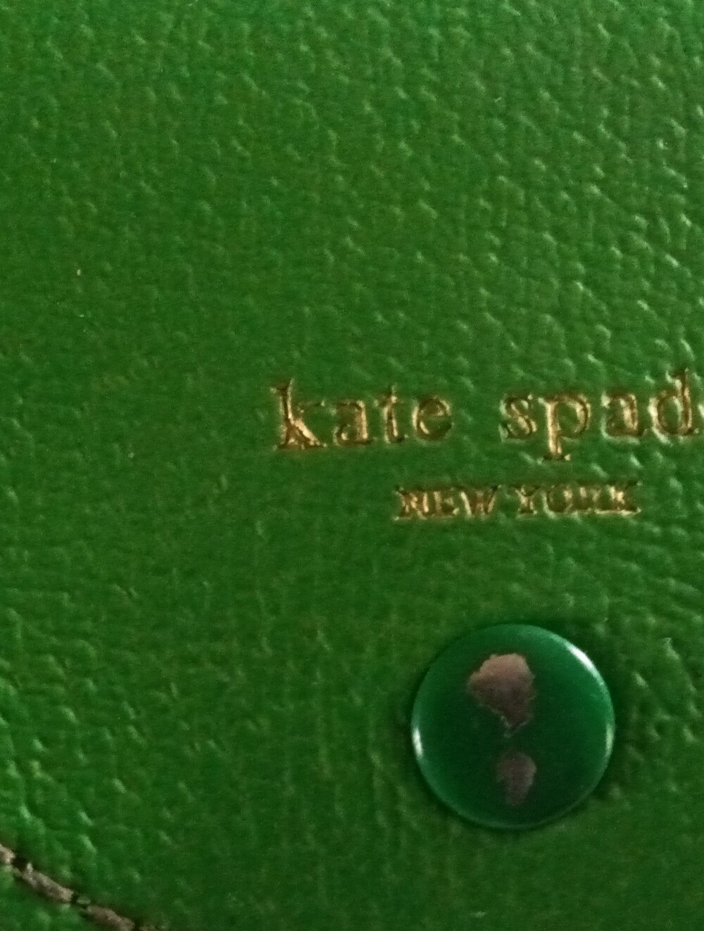 Kate Spade New York Lime-Green Leather Sunglasses Case - Picture 3 of 7